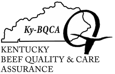 BQCA Logo3