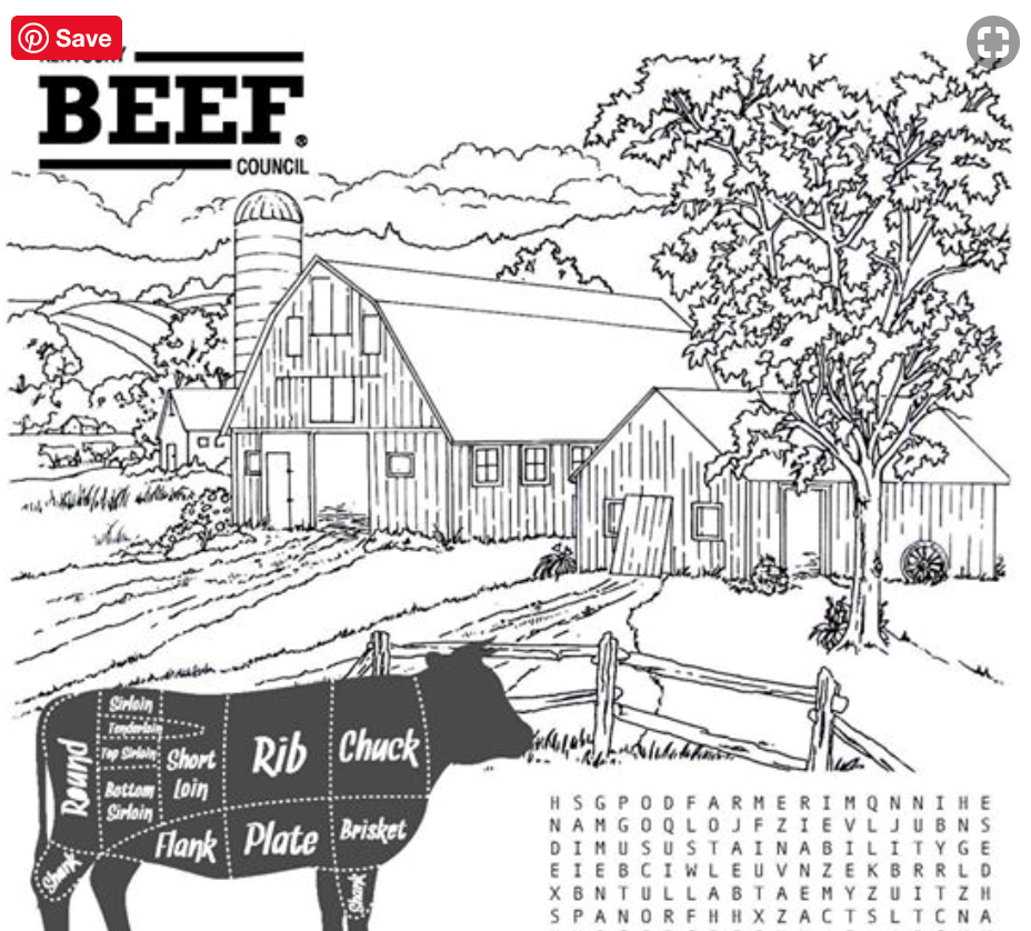 angus bulls coloring pages