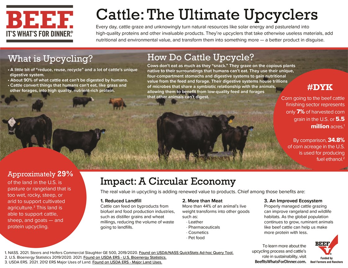 Beef Sustainability